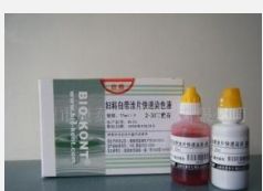 試劑盒怎么使用,尺寸,價(jià)格