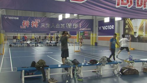 愛打羽毛球的你,崇明這里多了個羽毛球館