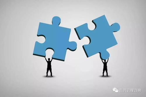 企業(yè)管理的五種職能與七大原則 構(gòu)建高效組織的核心框架